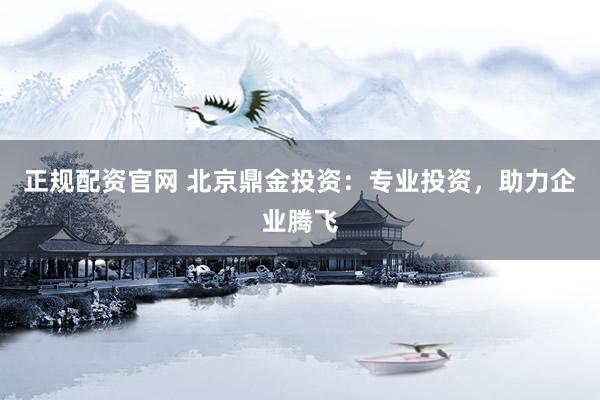 正规配资官网 北京鼎金投资：专业投资，助力企业腾飞