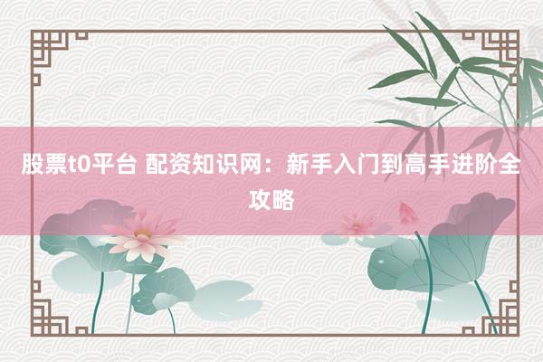 股票t0平台 配资知识网：新手入门到高手进阶全攻略