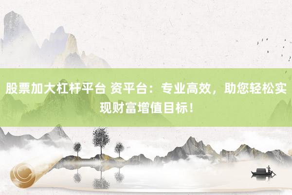 股票加大杠杆平台 资平台：专业高效，助您轻松实现财富增值目标！