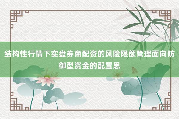 结构性行情下实盘券商配资的风险限额管理面向防御型资金的配置思