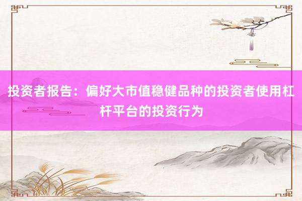 投资者报告：偏好大市值稳健品种的投资者使用杠杆平台的投资行为