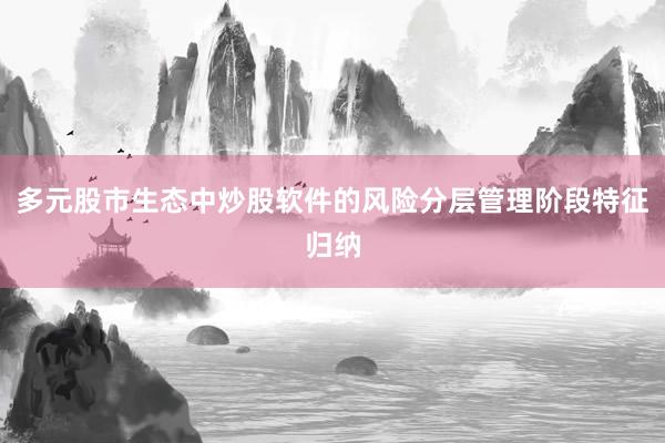 多元股市生态中炒股软件的风险分层管理阶段特征归纳