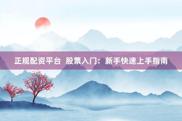 正规配资平台  股票入门：新手快速上手指南