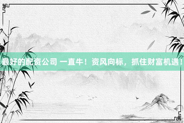 最好的配资公司 一直牛！资风向标，抓住财富机遇！